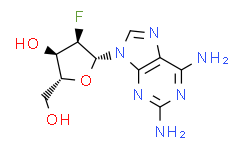 2-氨基-2'-氟-2'-脱氧腺苷,99%