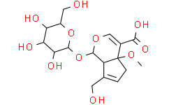2025新老澳门原料