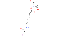 琥珀酰亚胺-6-（碘乙酰基）氨基己酸酯
