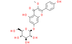 3-甲氧基山奈酚 7-O-葡萄糖苷