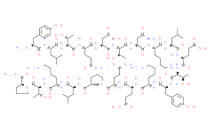 pTH-Related Protein (67-86) amide (human, bovine, dog, mouse, ovine, rat)