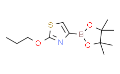 2-propoxy-4-(4，4，5，5-tetramethyl-1，3，2-dioxaborolan-2-yl)thiazole,95%