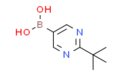 (2-(tert-Butyl)pyrimidin-5-yl)boronic acid,95%