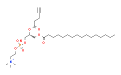 1-棕榈酰基-2-炔丙基乙酰酰磷脂酰胆碱