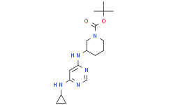 3-(6-环丙基氨基-嘧啶-4-基氨基)-哌啶-1-羧酸叔丁基酯