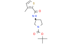 (S)-3-[(3-甲基-噻吩-2-羰基)-氨基]-吡咯烷-1-羧酸叔丁酯