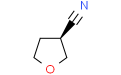 (S)-四氢呋喃-3-腈