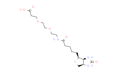 Biotin-PEG2-Acid,95%