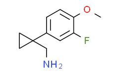 （1-（3-氟-4-甲氧基苯基）环丙基）甲胺盐酸盐,90%
