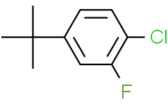 1-氯-4-(1，1-二甲基乙基)-2-氟苯