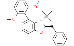 (2S，3S)-2-苄基-3-(叔丁基)-4-(2，6-二甲氧基苯基)-2，3-二氢苯并[D][1，3]氧杂磷杂环戊烯