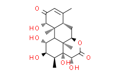14,15 β-Dihydroxyklaineanone