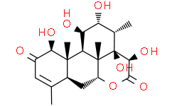 14，15beta-Dihydroxyklaineanone