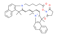 脂性Cy5.5 活性酯