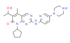 CBX2 chromodomain (human recombinant)