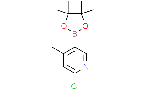 2-chloro-4-methyl-5-(4,4,5,5-tetramethyl-1,3,2-dioxaborolan-2-yl)pyridine