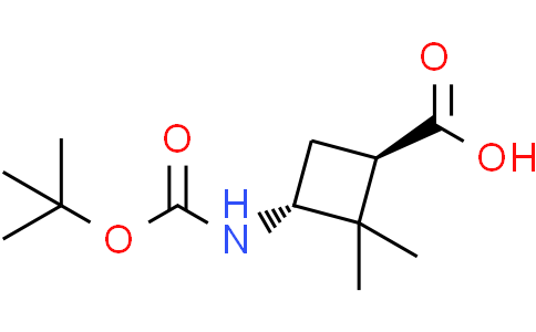 trans-3-(tert-butoxycarbonylamino)-2,2-dimethyl-cyclobutanecarboxylic acid
