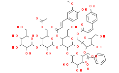 2025新老澳门原料