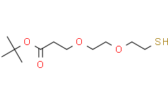 巯基-二聚乙二醇-丙酸叔丁酯