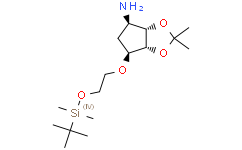 [Alfa Aesar](3aS,4R,6S,6aR)-6-(2-((叔丁基二甲基硅烷基)氧基)乙氧基)-2,2-二甲基四氢-3aH-环戊二烯并[d][1,3]二氧杂环戊烯-4-胺