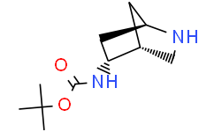 (1R，4R，5R)-2-氮杂双环[2.2.1]庚烷-5-基氨基甲酸叔丁酯