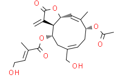 2025新老澳门原料