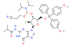 2'-ARA-2'-F-2'-DG单体(G-FANA单体)