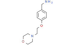 [4-(2-吗啉乙氧基)苯基]甲胺