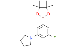 3-氟-5-四氢吡咯-苯硼酸