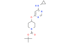 4-(6-环丙基氨基-嘧啶-4-基氧基)-哌啶-1-羧酸叔丁基酯