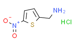2-(氨甲基)-5-硝基噻吩盐酸盐,≥97%