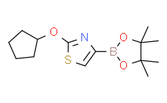 2-(cyclopentyloxy)-4-(4，4，5，5-tetramethyl-1，3，2-dioxaborolan-2-yl)thiazole,95%