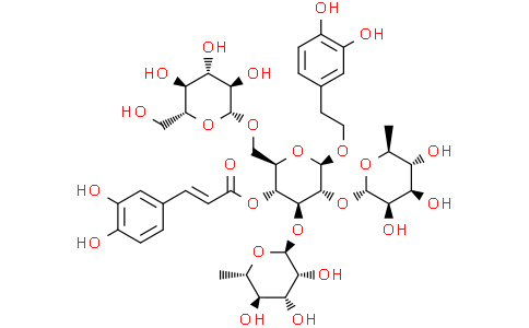 2-鼠李糖松果菊苷