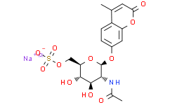 4 -甲基伞形酮- 2 -乙酰氨基- 2 -脱氧- 6 -硫酸-Β- D -葡萄糖苷