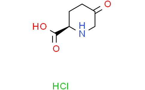 (2R)-5-oxopiperidine-2-carboxylic acid hydrochloride