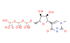 N1-Methylpseudouridine-5′-triphosphate