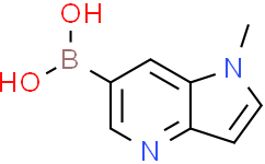 {1-methyl-1H-pyrrolo[3,2-b]pyridin-6-yl}boronic acid