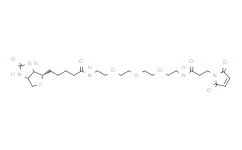 生物素-三乙二醇-马来酰亚胺