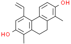 1-甲基灯心草菲酚