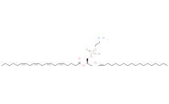 1-1(Z)-Octadecenyl-2-Arachidonoyl-sn-glycero-3-PE
