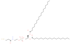 (2R)-3-((羟基(2-(3-巯基丙酰胺基)乙氧基)磷酰基)氧基)丙烷-1,2-二硬脂酸二酯