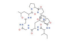 Heterophyllin B