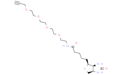 生物素-四乙二醇-炔基