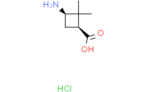 (1S,3R)-3-amino-2,2-dimethyl-cyclobutanecarboxylic acid hydrochloride