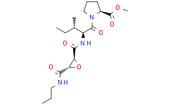 CA-074 methyl ester (CA-074 Me)