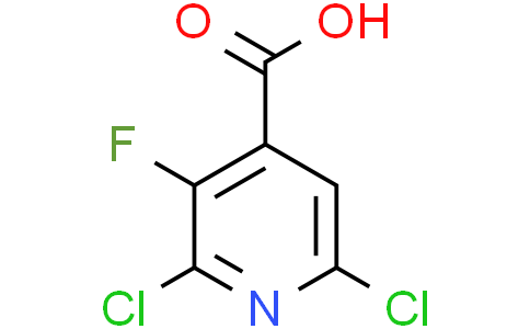 2,6-dichloro-3-fluoro-pyridine-4-carboxylic acid
