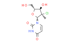 Neuromedin S (rat) (trifluoroacetate salt)