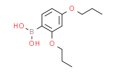 2,4-二丙氧基苯硼酸