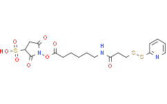 Sulfo-LC-SPDP