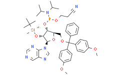 2′-O-叔丁基二甲基甲硅烷基-5-O-DMT-松节碱3′-CE亚磷酰胺